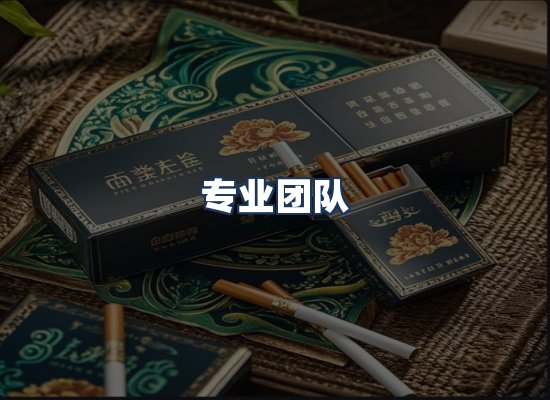 专业团队